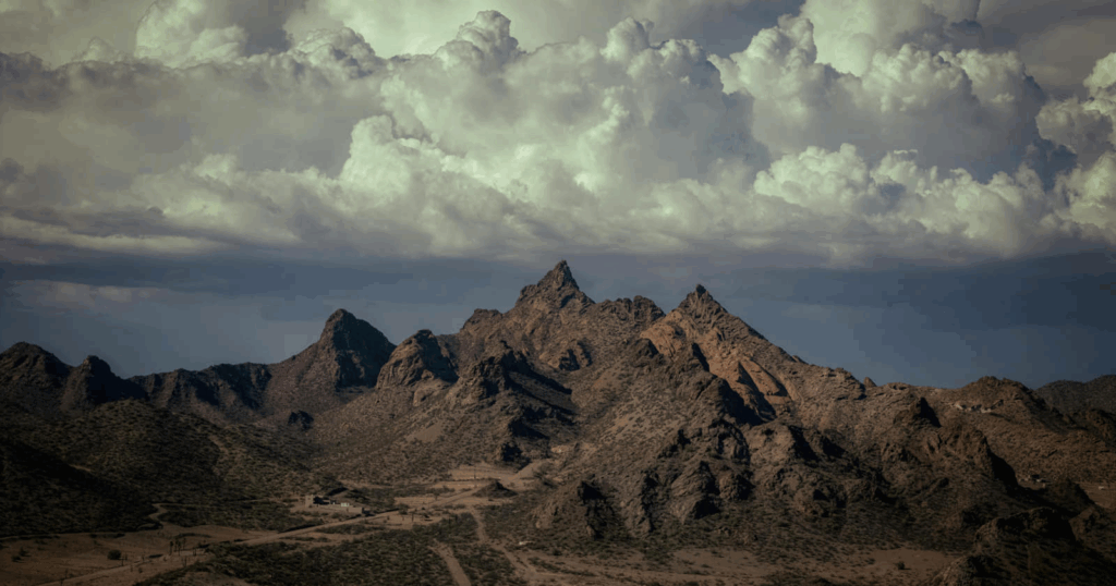 Desierto de Aridoamérica con cactáceas y arbustos xerófilos en Sonora, México