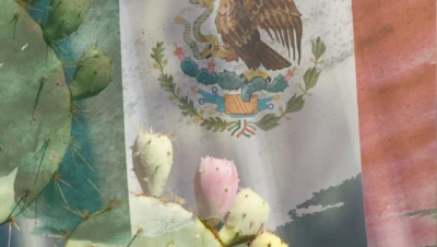 El nopal como símbolo cultural y patrimonial de México
