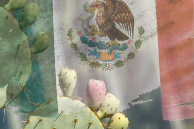 El nopal como símbolo cultural y patrimonial de México