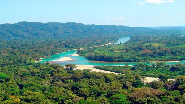 Selva Lacandona: historia, cultura y el pueblo que la guarda desde tiempos inmemoriales