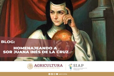 sor juana ines de la cruz