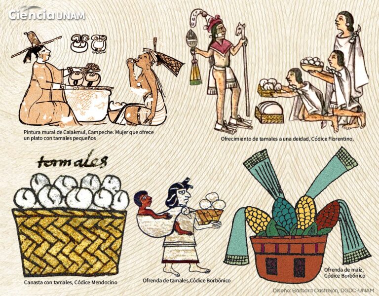 Tamales en México: Historia, Variedades Regionales y su Significado Ritual