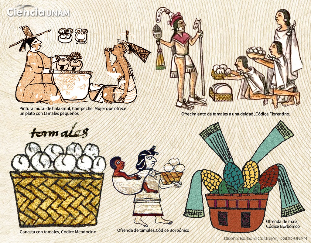 tamales en mexico variedades