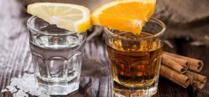 Diferencia entre Mezcal y Tequila: Guía Clara para Distinguirlos