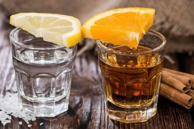 Diferencia entre Mezcal y Tequila: Guía Clara para Distinguirlos