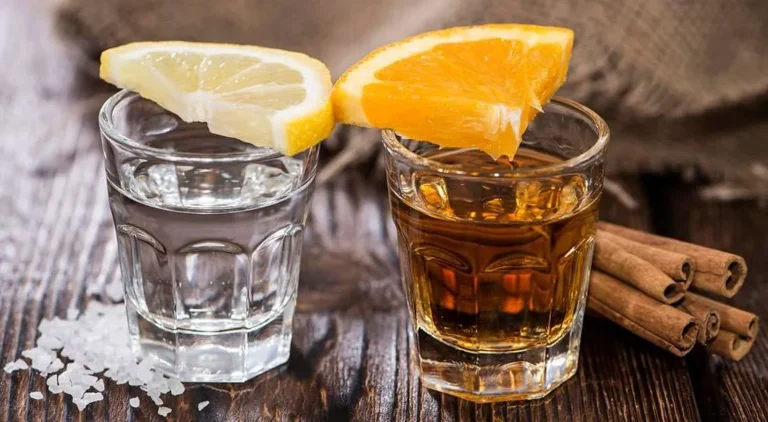 Diferencia entre Mezcal y Tequila: Guía Clara para Distinguirlos