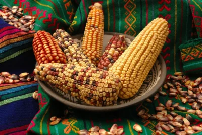 Origen del Maíz: Historia, Domesticación y Valor Cultural en México