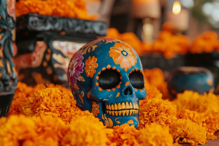 Flor de Cempasúchil: Origen, Significado y Uso en el Día de Muertos